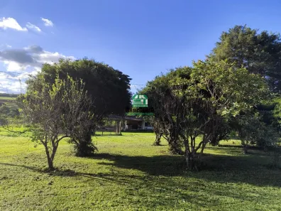 Fazenda/Sítio com 3 Quartos à venda, 500m² no Área Rural de Anápolis, Anápolis