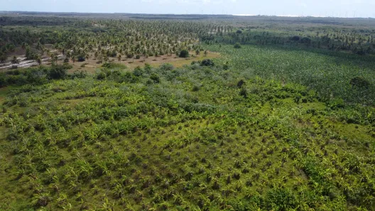 Fazenda/Sítio com 6 Quartos à venda, 3790000m² no , Rio do Fogo