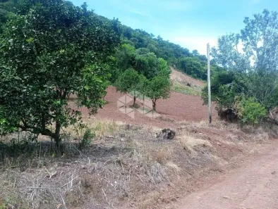 Fazenda/Sítio à venda, 15475m² no Faria Lemos, Bento Gonçalves