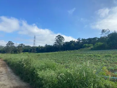 Fazenda/Sítio à venda, 194153m² no Parque Santa Rosa, Suzano