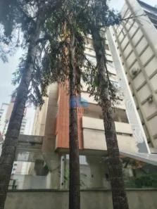 Apartamento com 3 Quartos para alugar, 179m² no Centro, Campinas