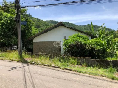 Lote/Terreno à venda, 1350m² no Itacorubi, Florianópolis