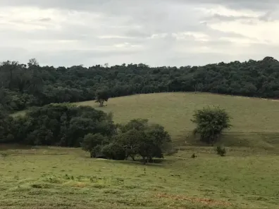 Lote/Terreno à venda, 451578m² no Jardim São Vicente, Itupeva