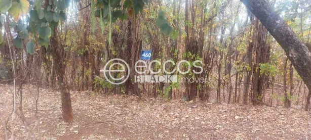 Lote/Terreno à venda, 1199m² no Jockey Park, Uberaba