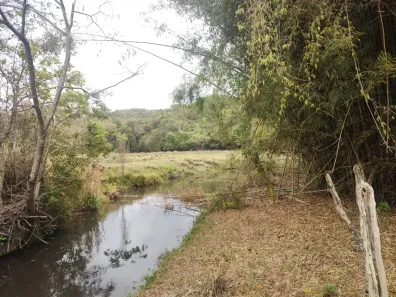 Fazenda/Sítio à venda, 20000m² no , Caeté