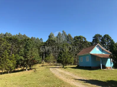 Fazenda/Sítio com 3 Quartos à venda, 120000m² no Centro, Campo Alegre
