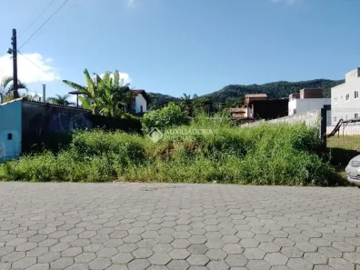 Lote/Terreno à venda, 461m² no Campeche, Florianópolis