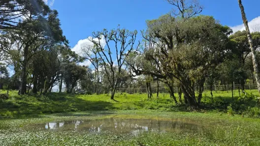 Fazenda/Sítio à venda, 100000m² no , Bocaina do Sul