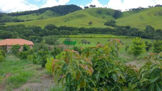 Fazenda/Sítio com 2 Quartos à venda, 5721m² no Centro, Cambuí