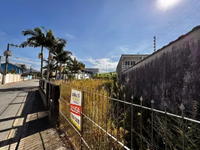 Lote/Terreno para alugar, 350m² no Centro, Palhoça