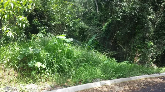 Lote/Terreno à venda, 4085m² no Quintas do Ingaí, Santana de Parnaíba