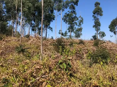 Lote/Terreno à venda, 10m² no Centro, Santa Branca