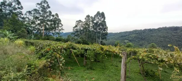 Fazenda/Sítio com 5 Quartos à venda, 120m² no , Picada Café