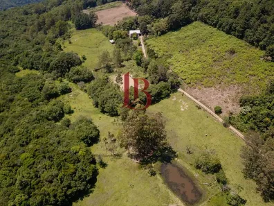 Fazenda/Sítio à venda, 20000m² no , Caxias do Sul