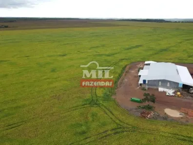 Fazenda/Sítio à venda, 55000000m² no , Pedro Afonso