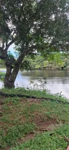 Lote/Terreno à venda, 1273m² no Lago do Limão, Iranduba