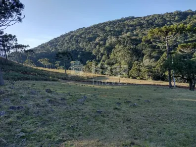 Fazenda/Sítio à venda, 183000m² no Centro, Bom Jardim da Serra