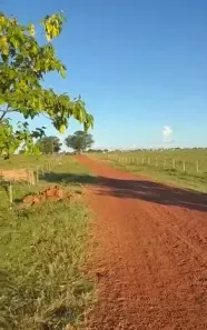 Fazenda/Sítio à venda, 2330m² no Centro, São José do Xingu