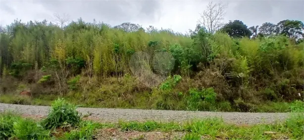 Lote/Terreno à venda, 1000m² no Luiz Fagundes, Mairiporã