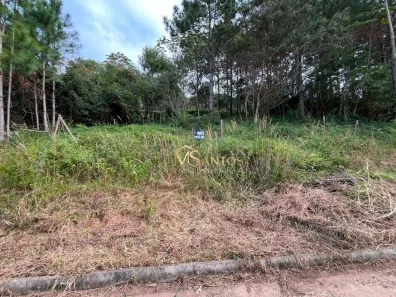 Lote/Terreno à venda, 721m² no Lagoa da Conceição, Florianópolis