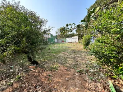 Lote/Terreno à venda, 329m² no Campeche, Florianópolis