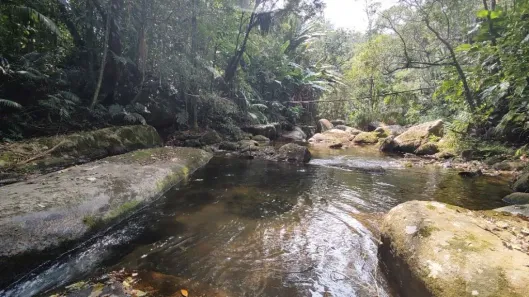 Casa com 4 Quartos à venda, 6125m² no Fazenda Inglesa, Petrópolis