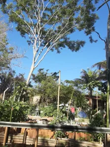 Fazenda/Sítio com 2 Quartos à venda, 200m² no Centro, Presidente Prudente