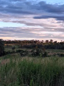 Fazenda/Sítio à venda, 62m² no , Biquinhas