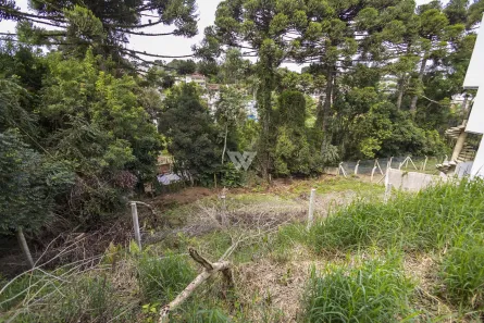 Lote/Terreno à venda, 564m² no Abranches, Curitiba