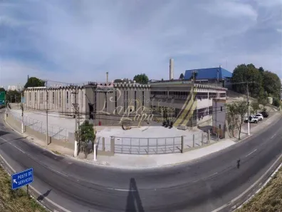Galpão/Depósito/Armazém para alugar, 5000m² no Parque São Domingos, São Paulo