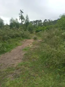 Fazenda/Sítio à venda, 218000m² no Imaruí, Imaruí