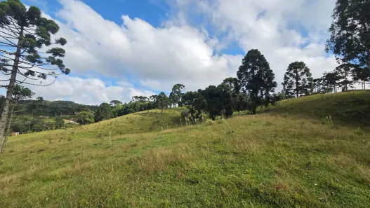 Lote/Terreno à venda, 20627m² no Laranjeiras, Campo Alegre