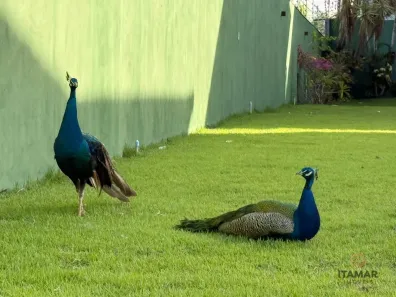 Casa com 3 Quartos à venda, 170m² no Meaípe, Guarapari