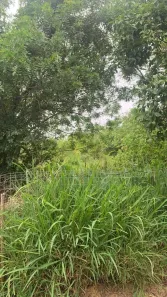 Lote/Terreno à venda, 1002m² no Belém Novo, Porto Alegre