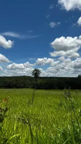 Lote/Terreno à venda, 20000m² no Boa Esperança, Curvelo