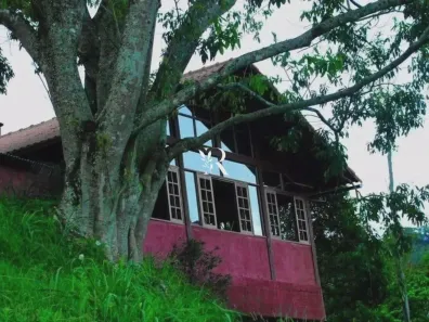 Casa com 7 Quartos à venda, 5550m² no Pedro do Rio, Petrópolis
