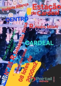 Lote/Terreno à venda, 2100m² no Cardeal, Elias Fausto