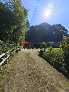Fazenda/Sítio com 3 Quartos à venda, 250m² no Belvedere, 