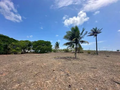 Lote/Terreno à venda, 5000m² no Cabeceiras, Tibau do Sul