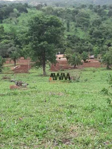 Fazenda/Sítio à venda, 4888400m² no , Uruana