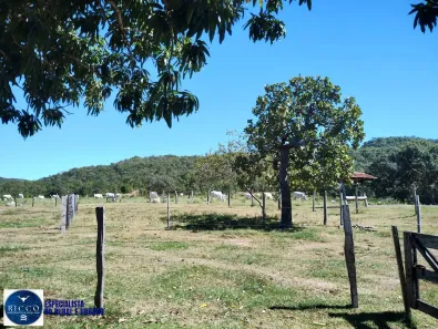 Fazenda/Sítio com 2 Quartos à venda, 17m² no Oeste, Araguapaz