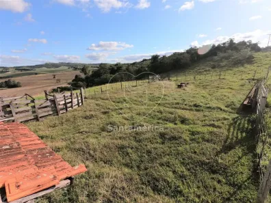 Fazenda/Sítio com 1 Quarto à venda, 60500m² no Irerê, Londrina