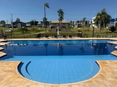 Lote/Terreno à venda, 250m² no Brasília, Londrina