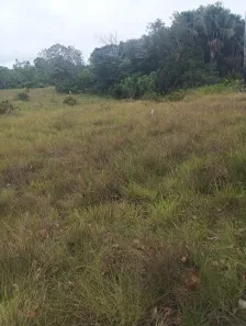 Fazenda/Sítio com 1 Quarto à venda, 2178000m² no , Barra do Ouro
