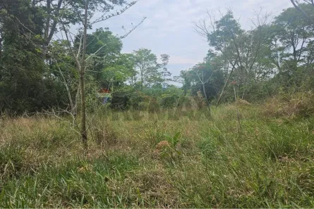 Fazenda/Sítio à venda, 895000m² no , Carmópolis de Minas