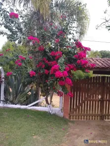 Fazenda/Sítio com 2 Quartos à venda, 170m² no Jardim Cananeia, Pilar do Sul