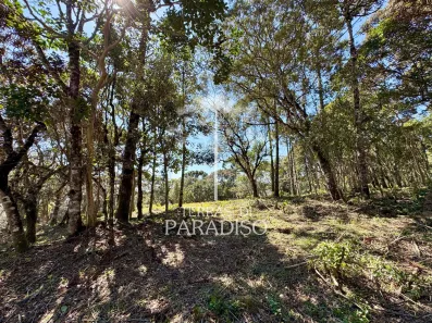 Lote/Terreno à venda, 8604m² no Rio Vermelho, Campo Alegre