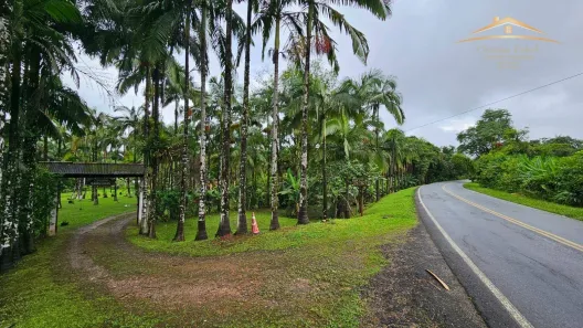 Fazenda/Sítio com 4 Quartos à venda, 36469m² no , Antonina