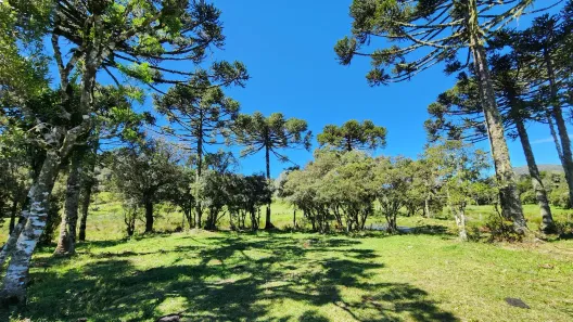 Fazenda/Sítio à venda, 20000m² no , Urupema