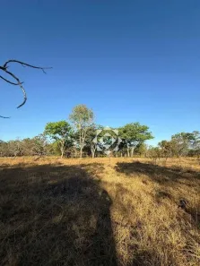 Fazenda/Sítio à venda, 2000000m² no , Rio Sono